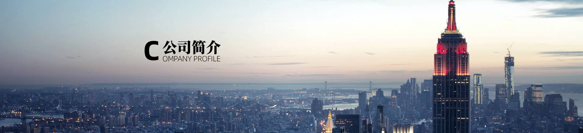 德昌電機(jī)集團(tuán)